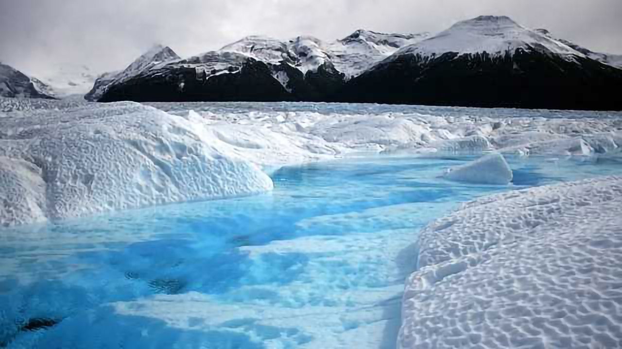 Bacterial Measurements Predict River Characteristics