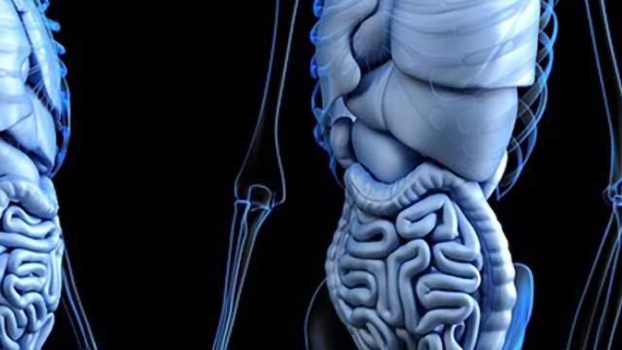 Antifungal Drug May Help Eliminate ‘Sleeping’ Bowel Cancer Cells