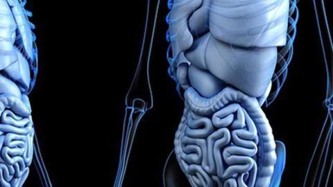 Antifungal Drug May Help Eliminate ‘Sleeping’ Bowel Cancer Cells