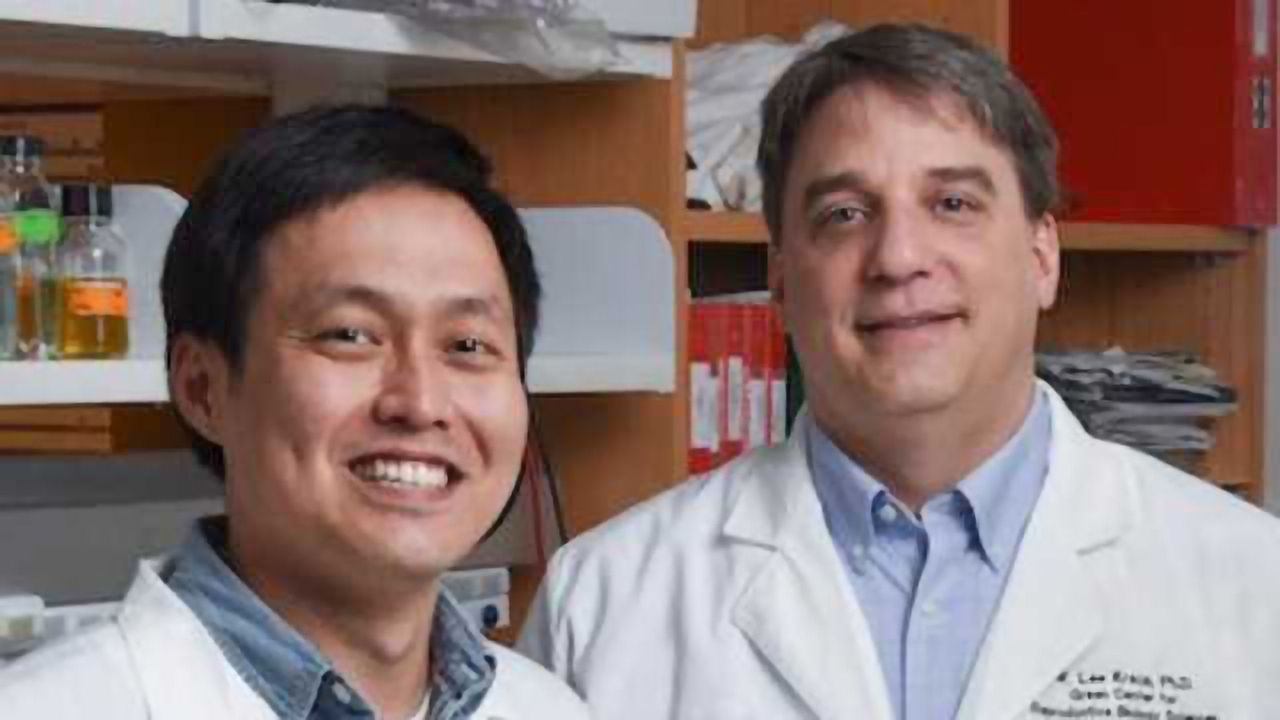 A New Understanding of How Glucose Makes You Fat