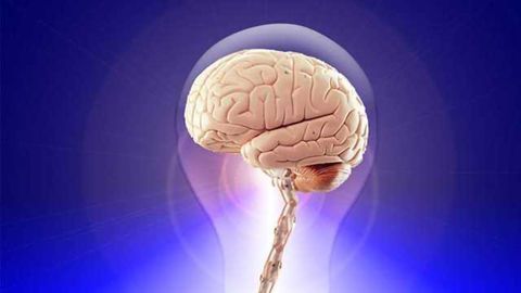 Neuroprotective Molecule Could Improve Memory and Cognition