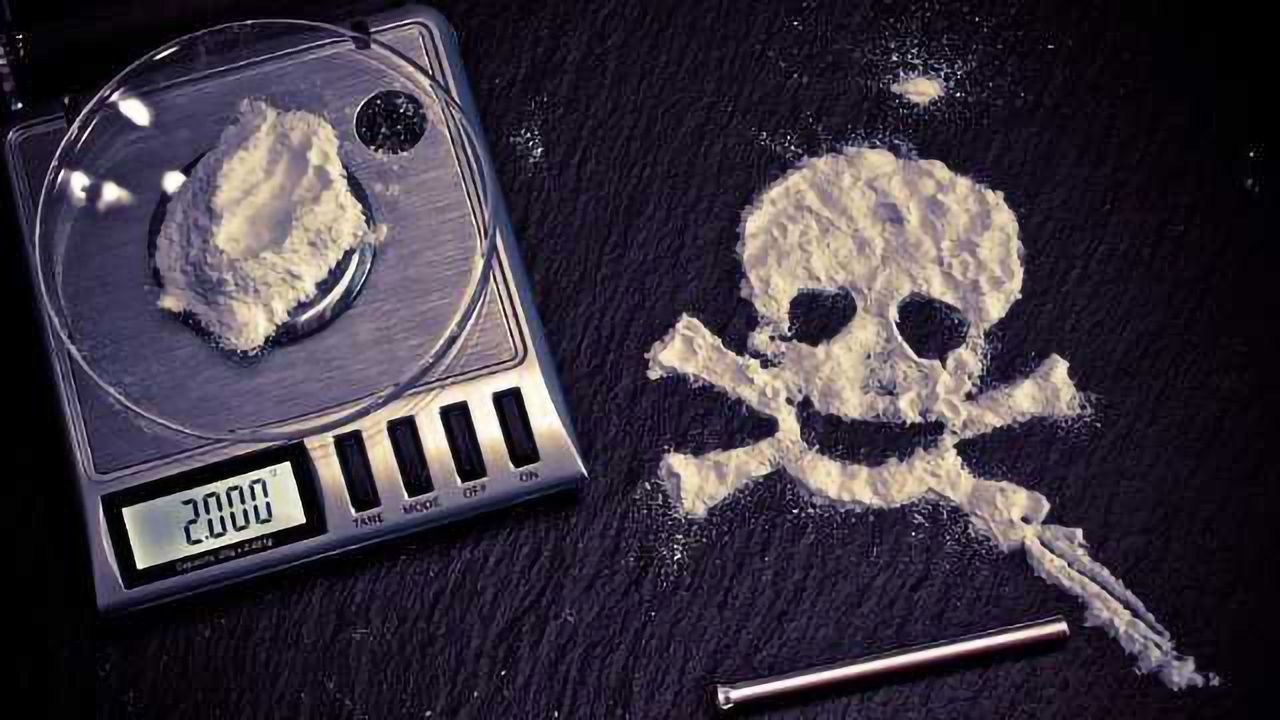 Cocaine Use Alters Gene Expression in Brain Reward Circuits