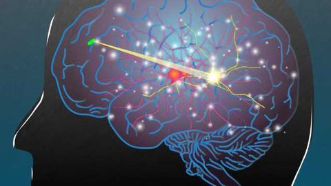 Wireless System Can Power Smart Devices Inside the Body