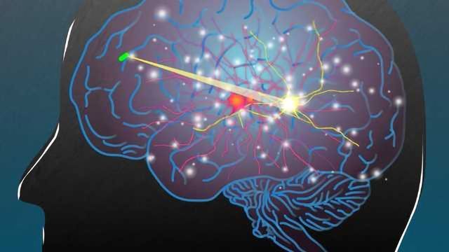 Tech Inside Body Wireless System Can Power Smart Devices Inside the Body | Technology ...
