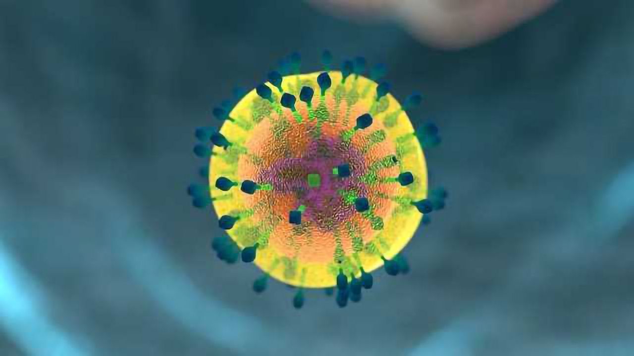 Human Blood Cells Transformed Into Functional Neurons