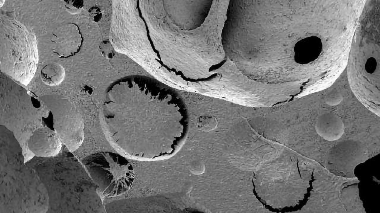 Artificial Bone Marrow Tissue Engineered