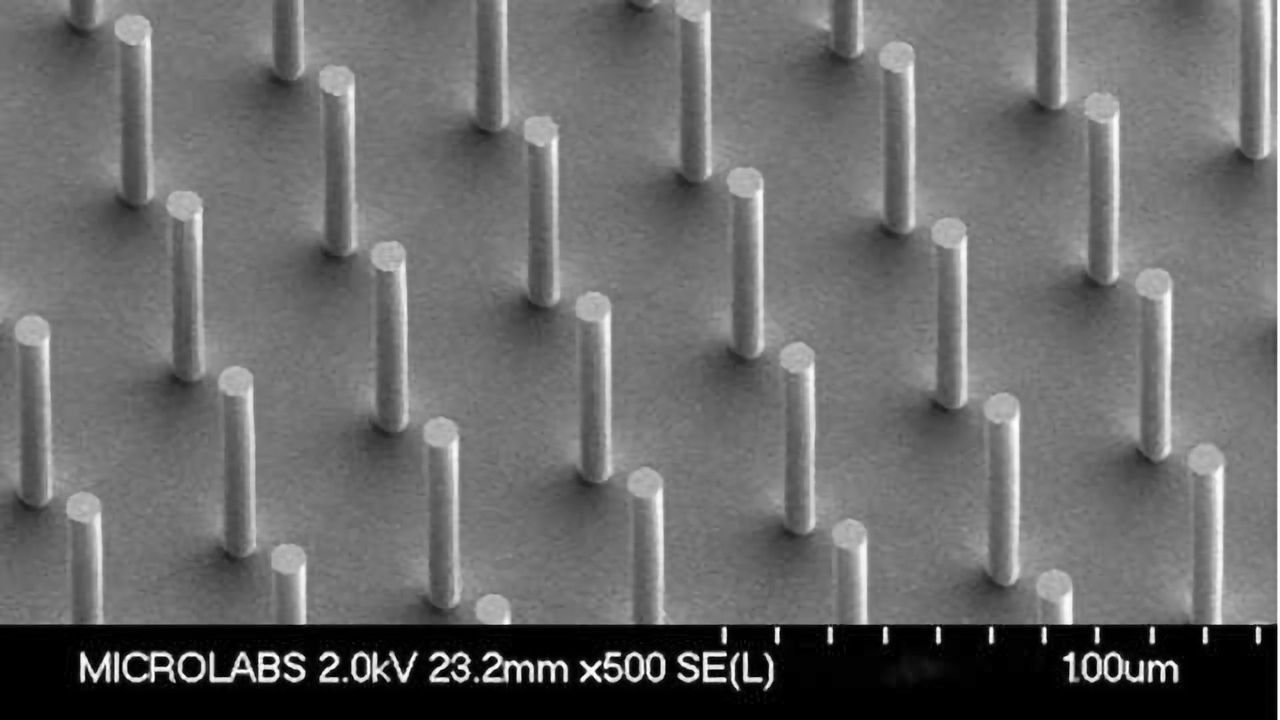 Sensera’s MEMS Mimic Human Organs Through Bioengineering