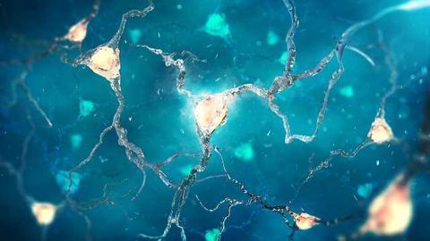 Alzheimer's Breakthrough: Tau accumulation activates transposable elements, cell death