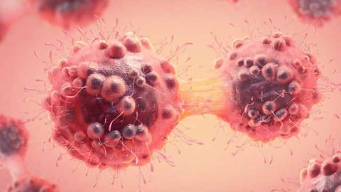 Combination Treatment Against Relapsed Head & Neck Cancer