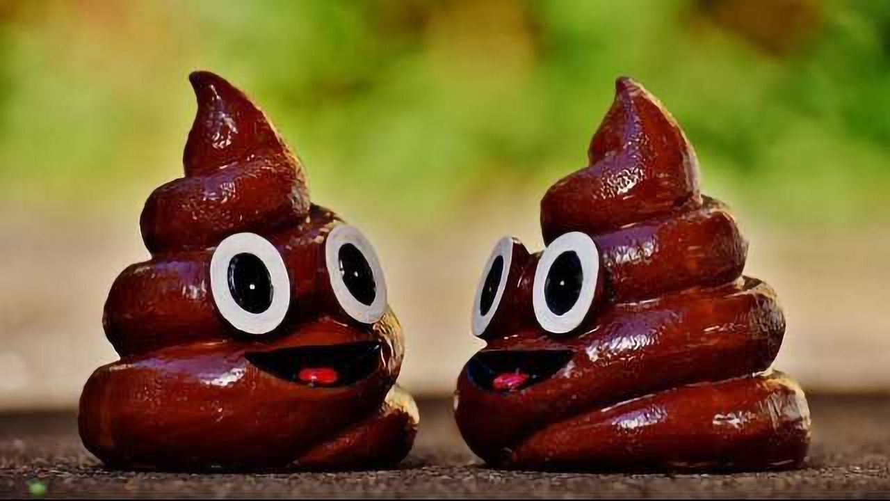 What Motivates People to Donate Their Poop to Medicine?