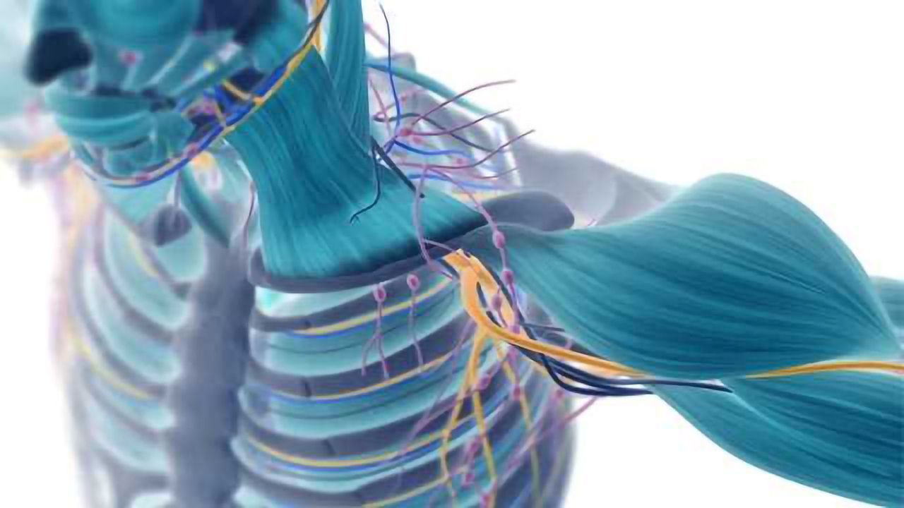 Therapeutic Approaches to Combat Age-Related Diseases