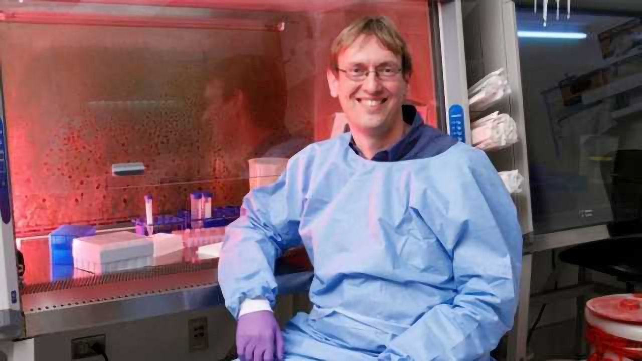 Cellular Death Code Identified