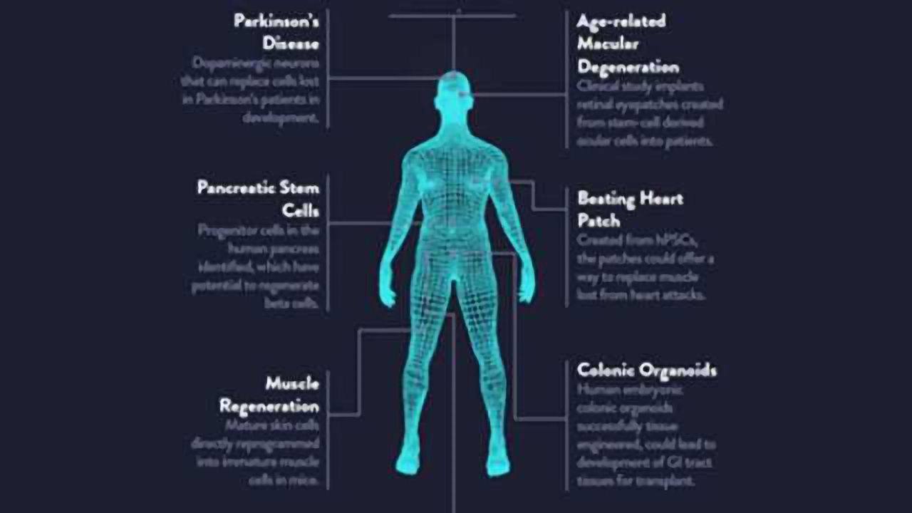 Stem Cells in Regenerative Medicine