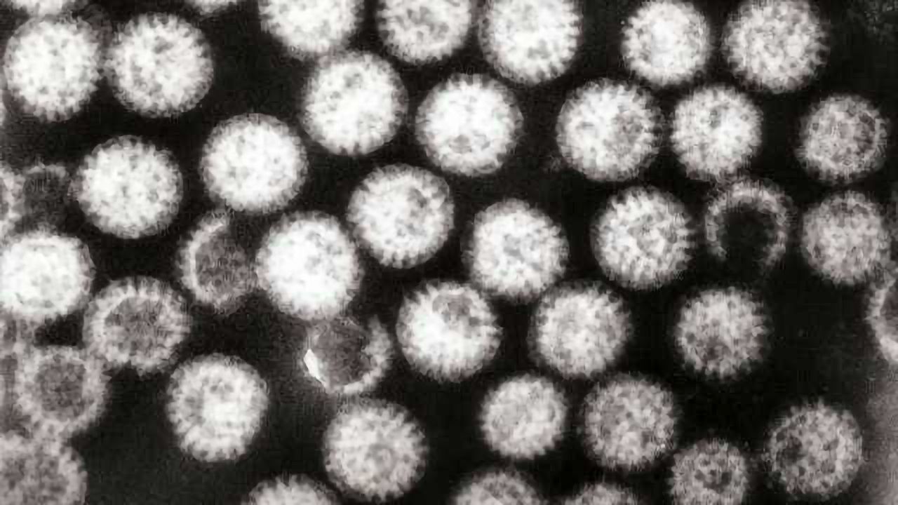 Next-Generation Sequencing Sheds Light on Rotavirus in Indonesia