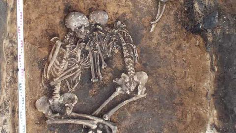 The World's Oldest Bubonic Plague Bacteria Have Been Sequenced
