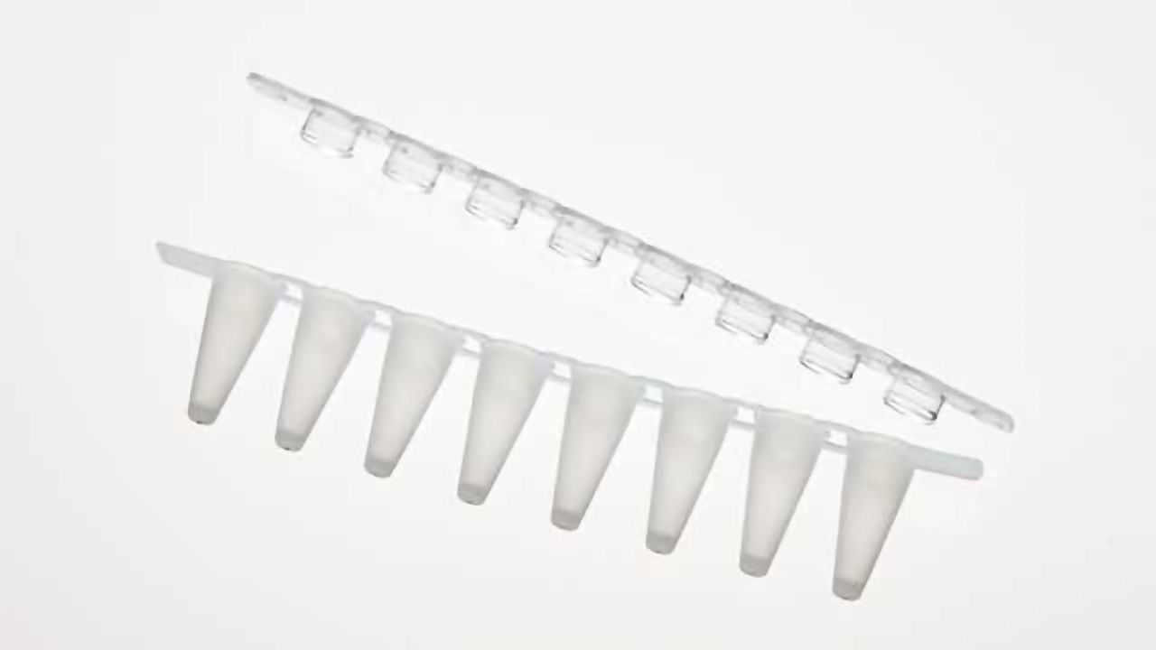 Introduction of the Eppendorf Fast PCR Tube Strips
