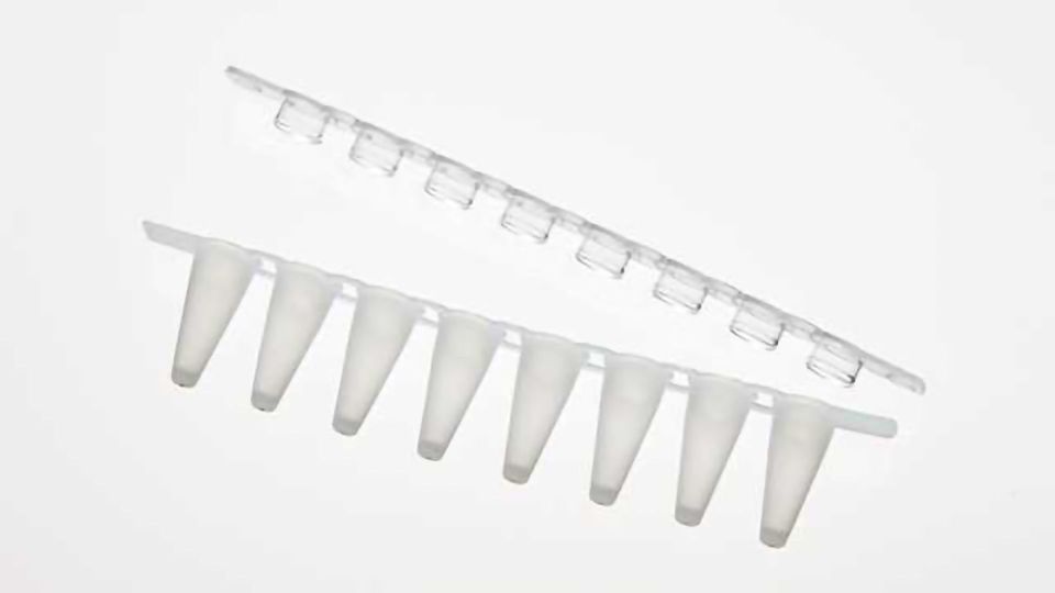 Introduction of the Eppendorf Fast PCR Tube Strips content piece image