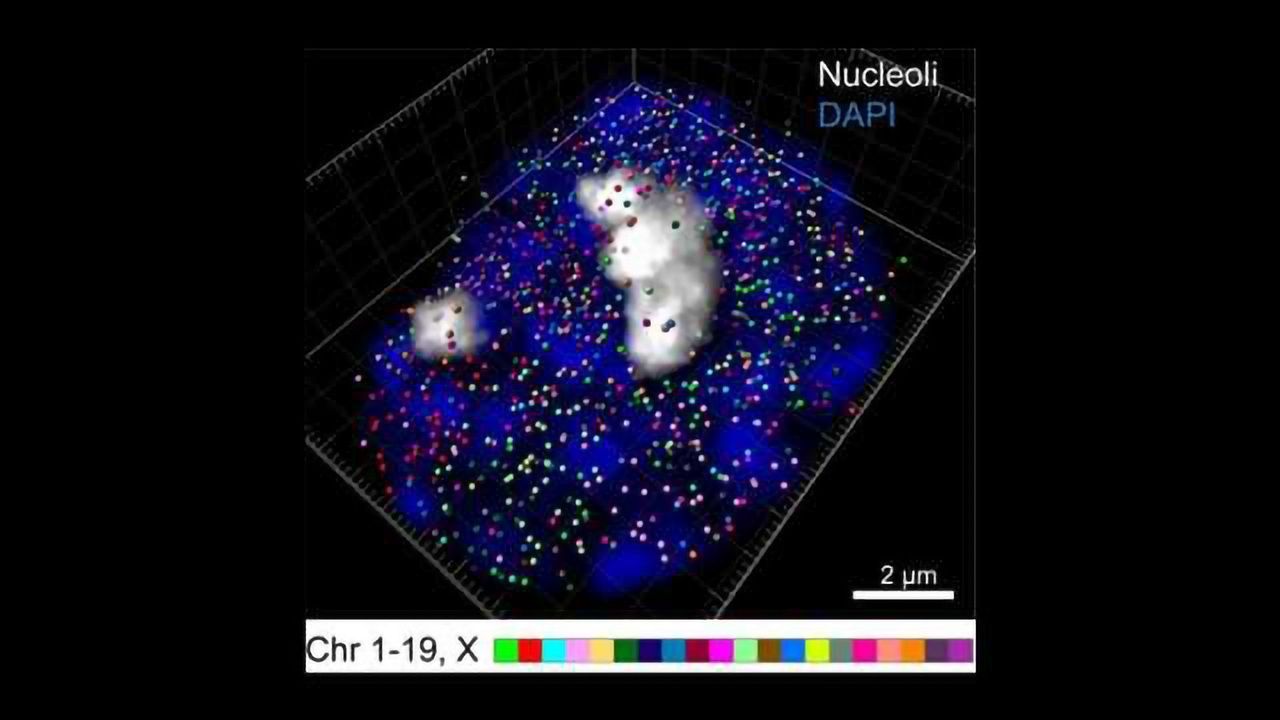 New Technique Views 10,000 Genes at Once