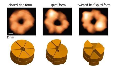 Bacterial Chaperone Structure Disentangled