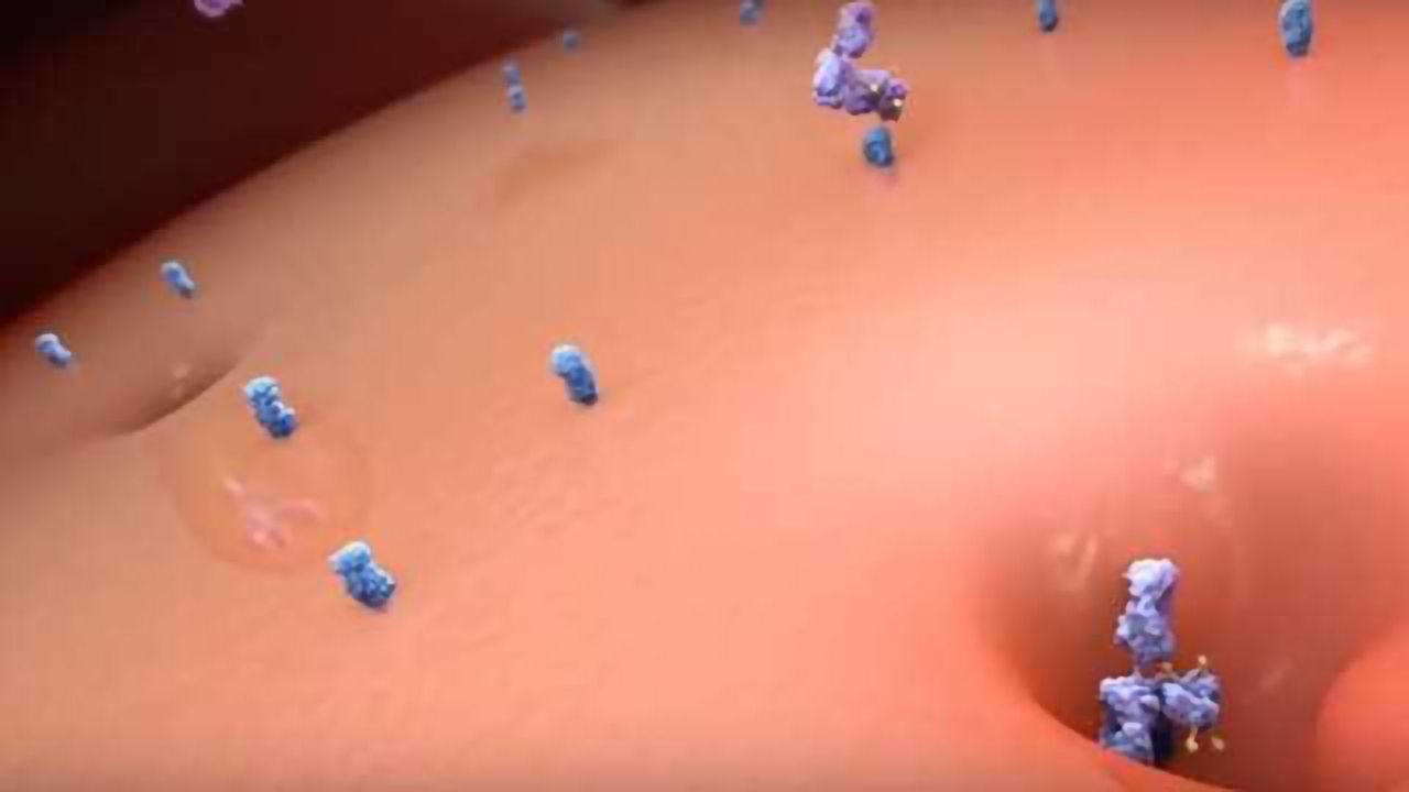 Targeting Tumors: Challenges of Antibody-Drug Conjugates