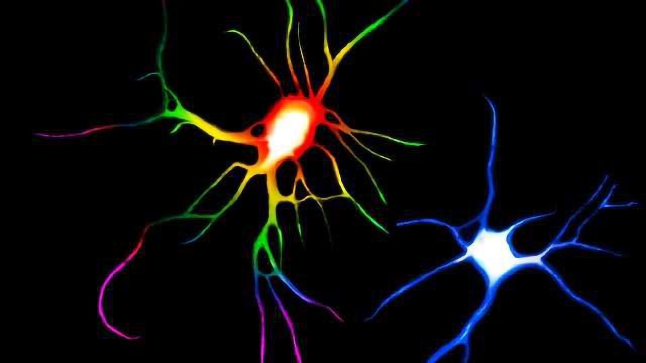 Psychedelic Drugs Change Structure of Neurons