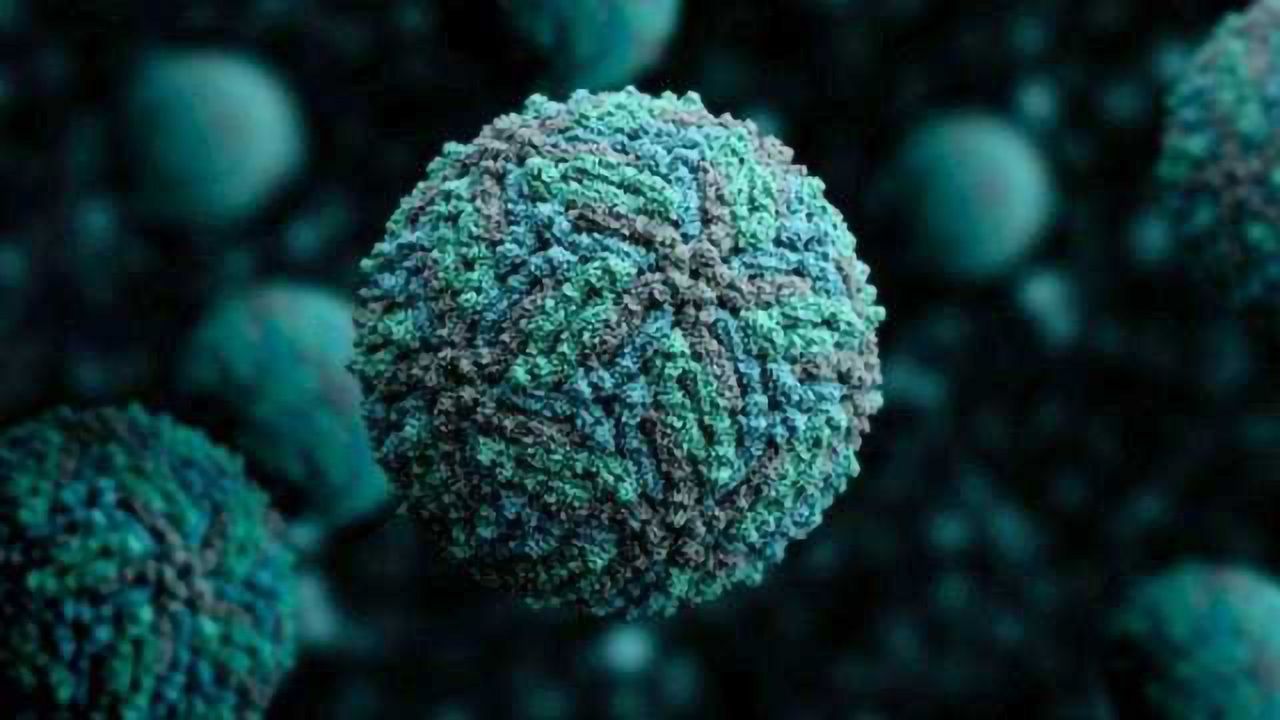 Algorithm Helps Diagnose Zika Using Biomarkers