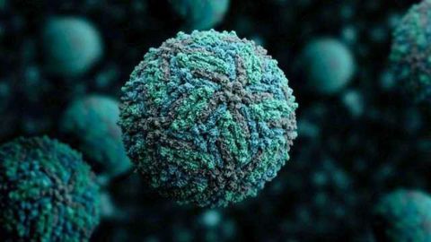 Algorithm Helps Diagnose Zika Using Biomarkers