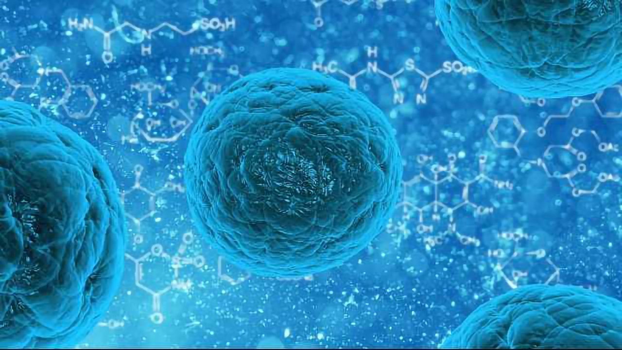 How Stem Cells Move