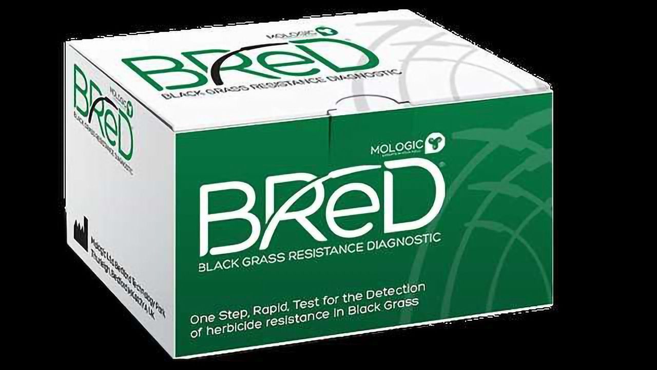 Mologic and Newcastle University Launch BReD Diagnostic for Blackgrass Resistance at Cereals