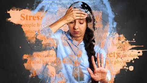 Neuroscientists Identify Neural Circuit Mechanisms of Emotion