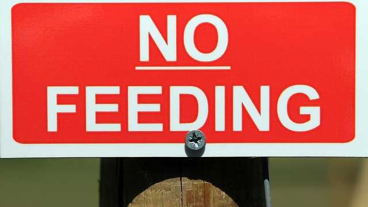 Food Safety Warnings Are Making Eating More Dangerous