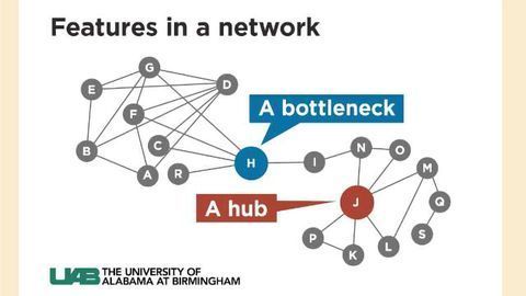 Network Biology Reveals Plant Pathogen Targets