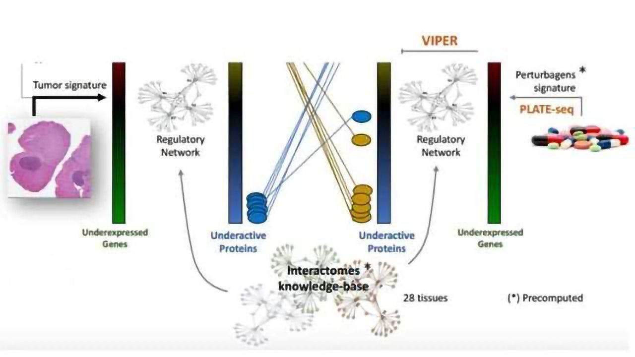 Targeting the Engine Room of the Cancer Cell