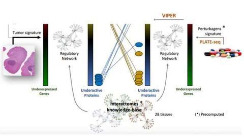Targeting the Engine Room of the Cancer Cell