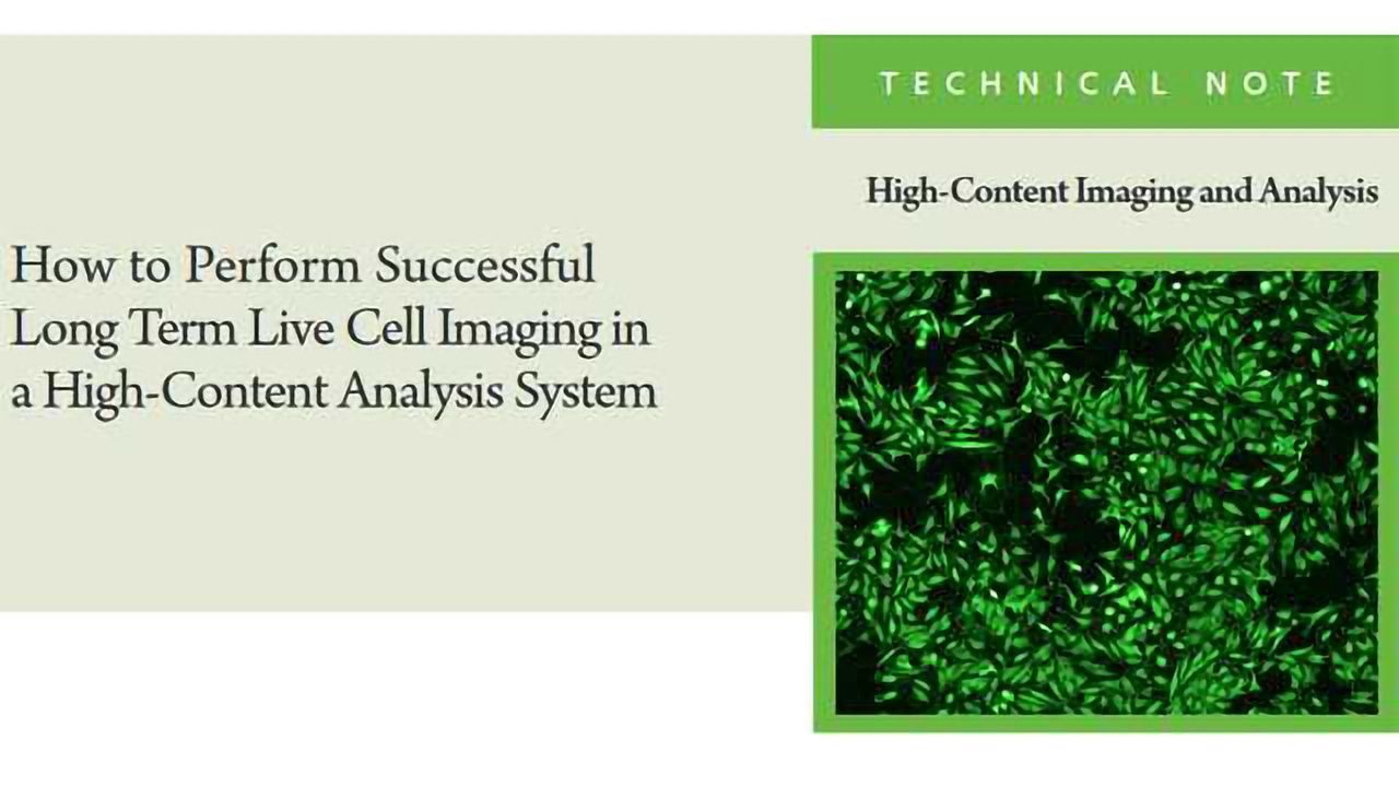 How to Perform Successful Long Term Live Cell Imaging in a High-Content Analysis System