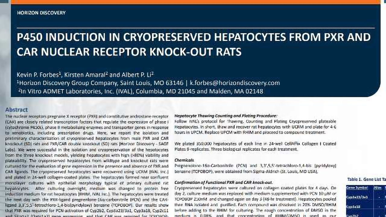 P450 Induction in Cryopreserved Hepatocytes from PXR and CAR Nuclear Receptor Knock-out Rats