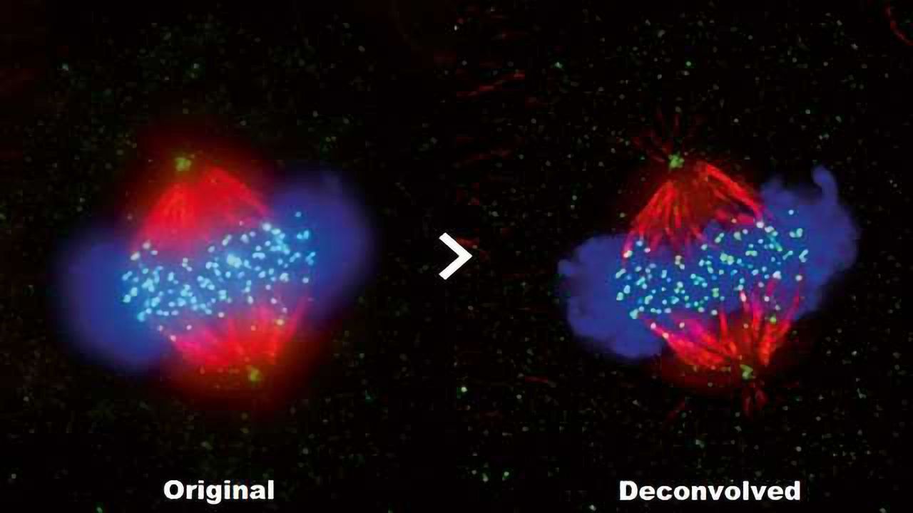 Olympus cellSens 2.1 – Driving Research Forward Faster