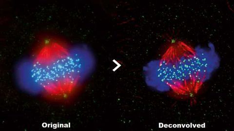 Olympus cellSens 2.1 – Driving Research Forward Faster