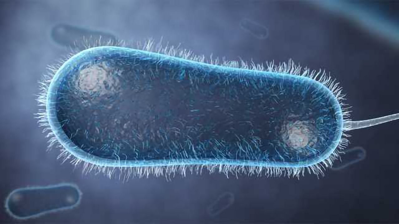 Agile Sciences-Breaking the Cycle of Antibiotic Resistance