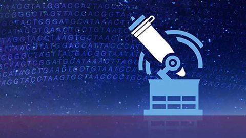 Thermo Fisher Scientific Launches Ion AmpliSeq HD Technology