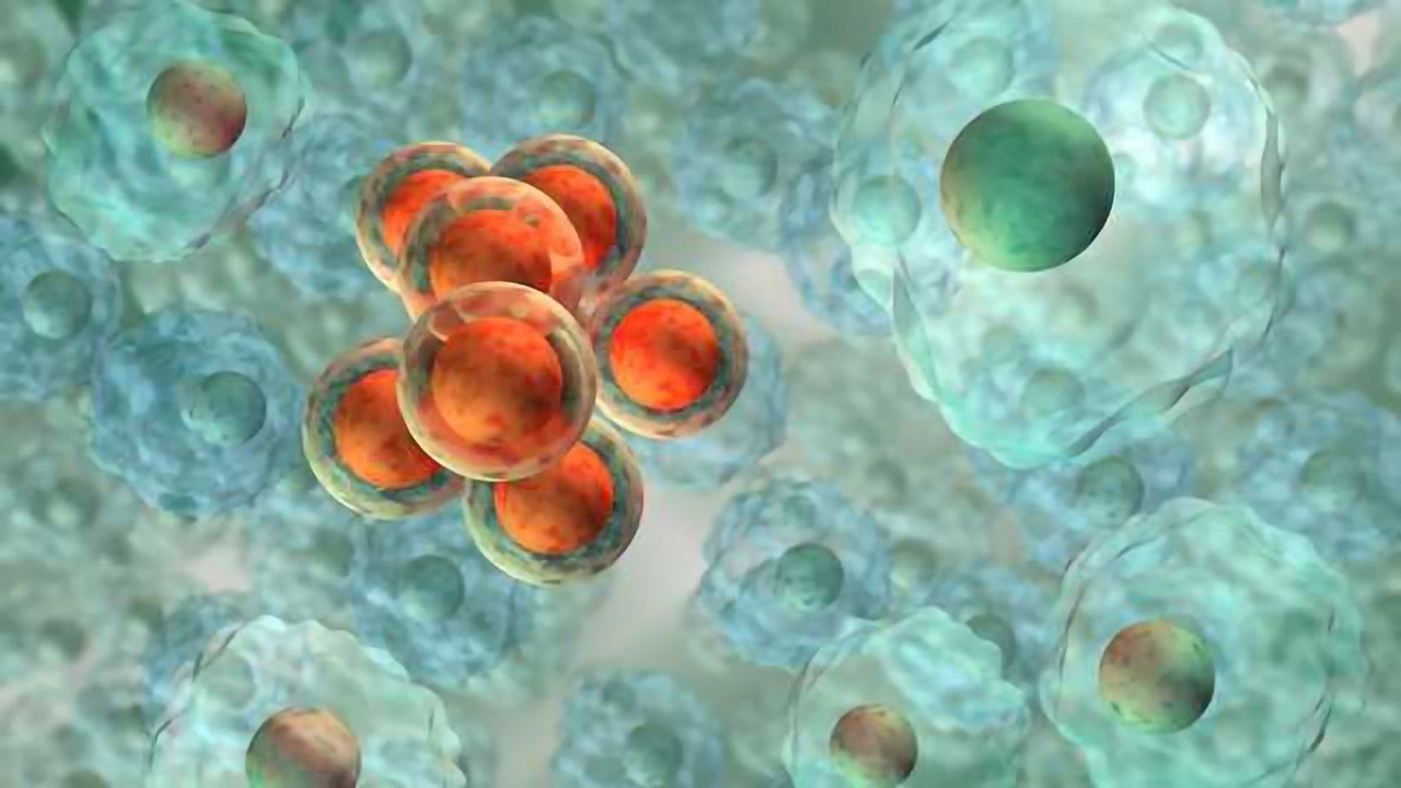 3D-iPSC Matrix Enables More Accurate In Vivo Predictions