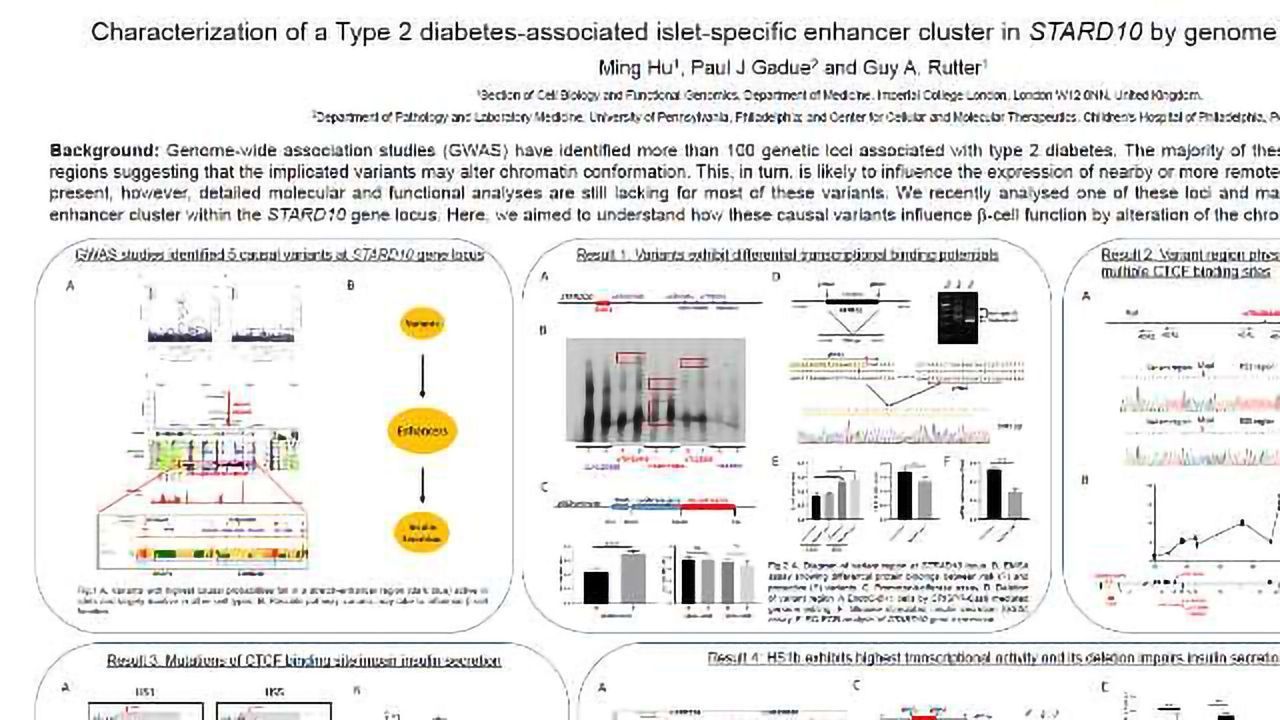 Characterization of a Type 2 diabetes-associated islet-specific enhancer cluster in STARD10 by genome editing of EndoC-βH1 cells