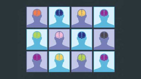 Psychiatric Disorders Share a Common Genetic Basis