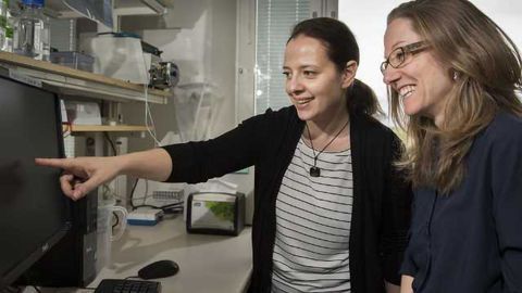 Mechanism Controlling Multiple Sclerosis Risk Identified
