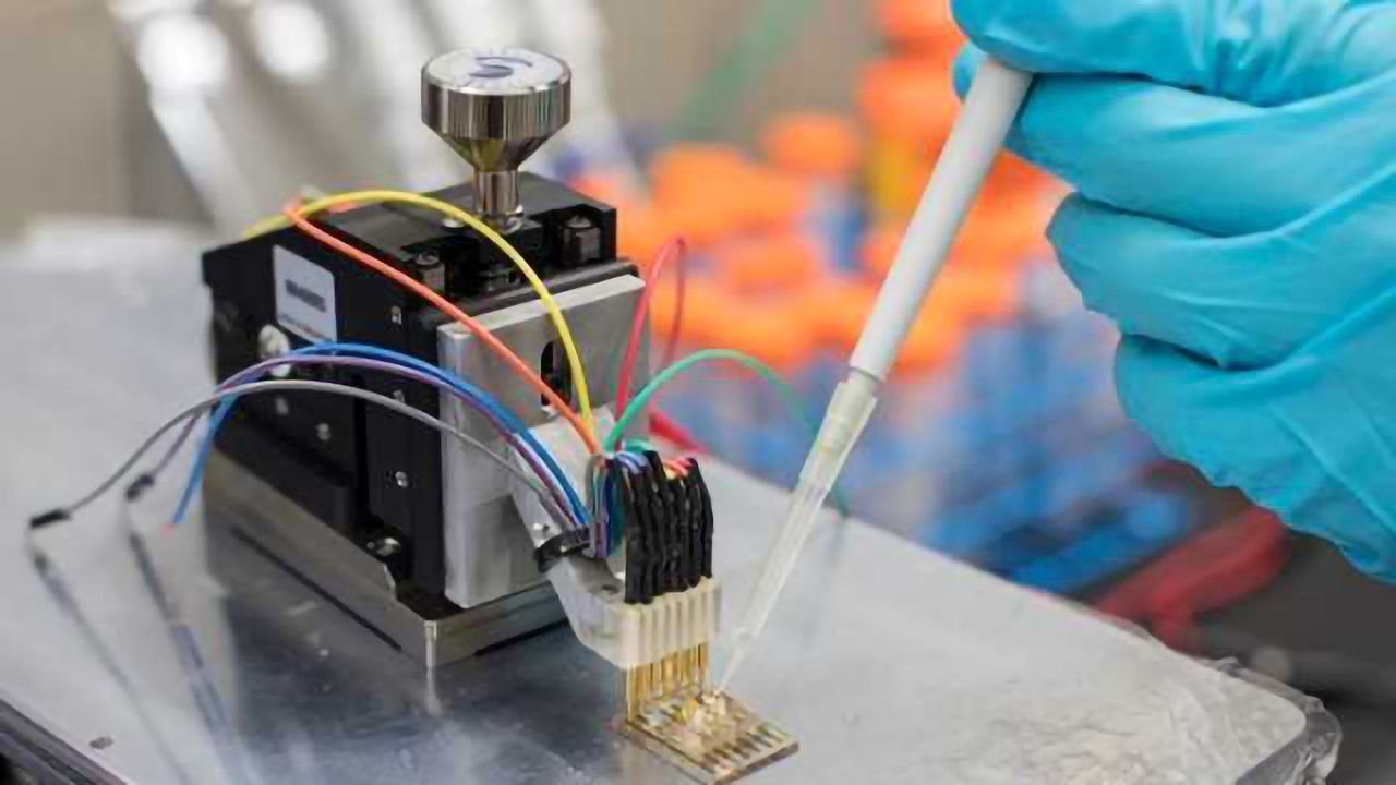 New Biosensor is Simple Solution for Metabolite Detection