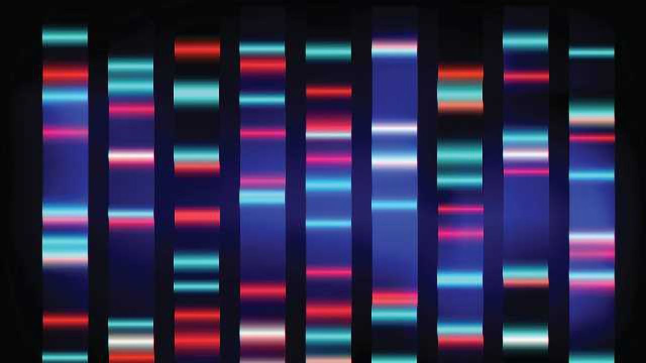 Streaming Protocol Makes Gene Data Sharing Future-Proof