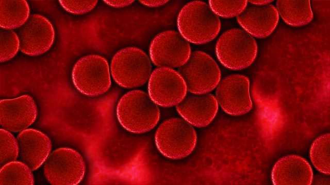 Understanding of Platelet Production Challenged By State of the Art Imaging