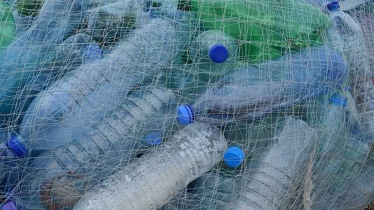 Biorenewable, Biodegradable Plastic Alternative Progress