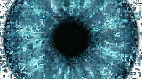 Retinal Computations Explored at the Circuit Level