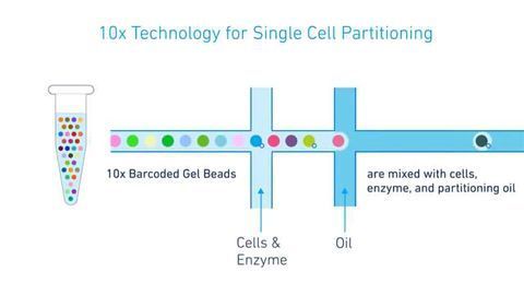 10x Genomics Extends their Application Portfolio